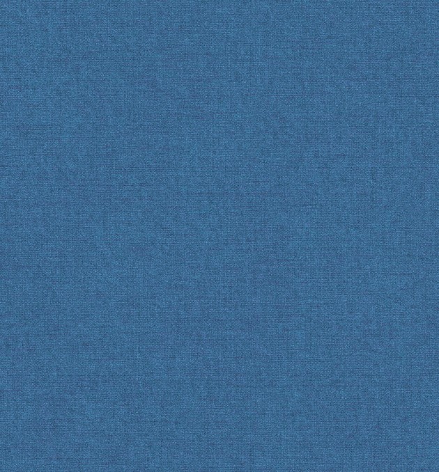 691	- Blue Fabric